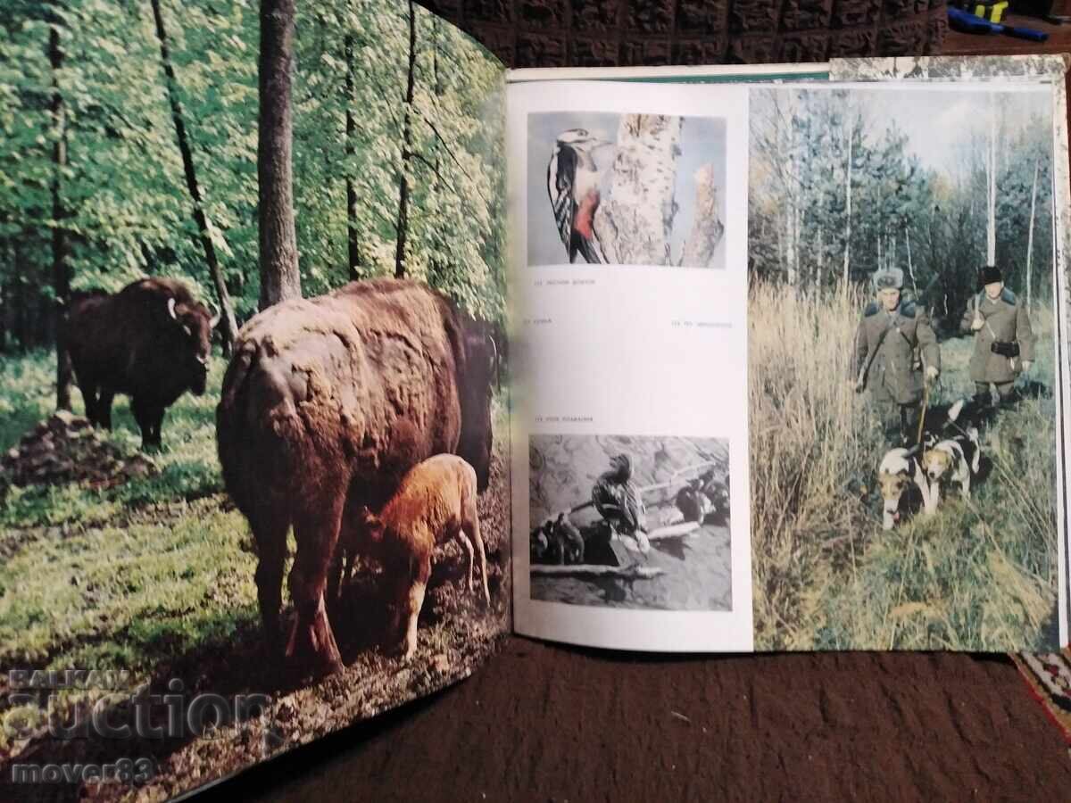 Περιοχή της Μόσχας. Λεύκωμα-εγχειρίδιο. Ρωσική γλώσσα - 6