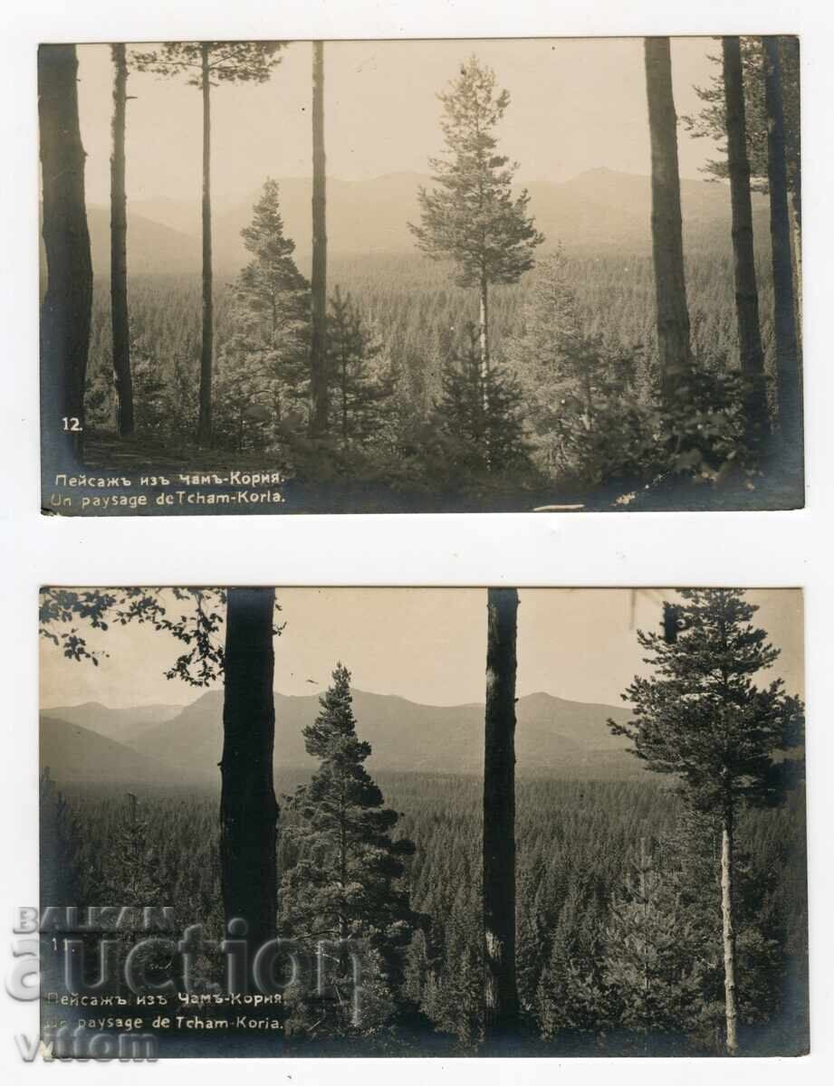 Landscapes from Chamkoria Borovets 2 postcards Landscapes from Chamkoria Borovets 2 postcards