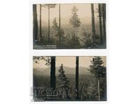 Landscapes from Chamkoria Borovets 2 postcards