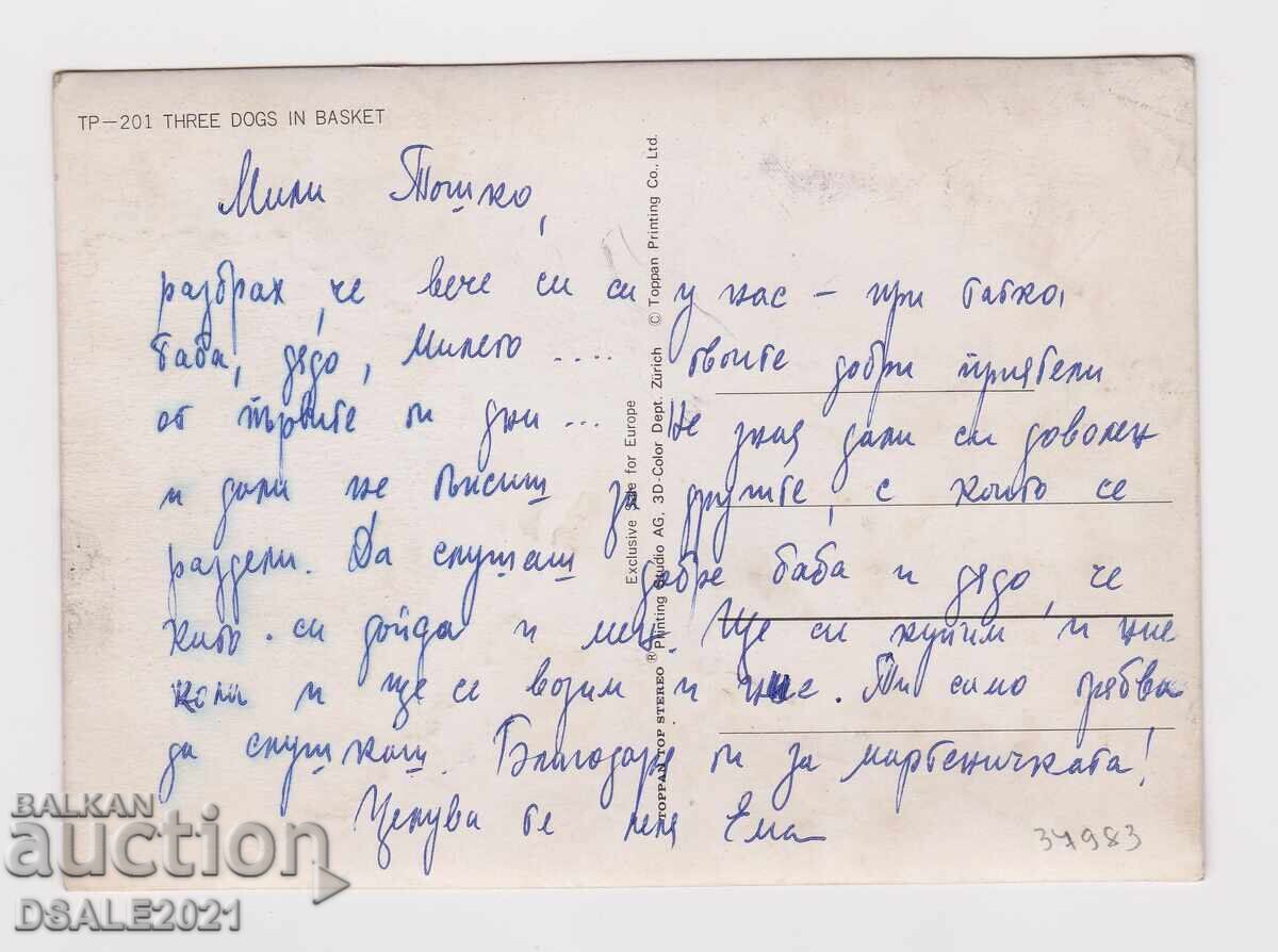 Old stereo 3D picture, Stereo Card dogs /37983 with price 2.90 BGN | € 1.48