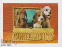 Veche imagine stereo 3D, Card stereo câini /37983