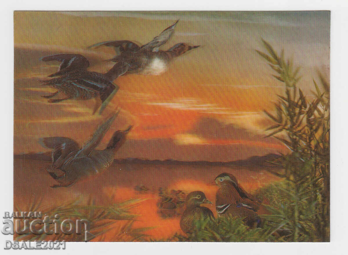 Veche imagine stereo 3D, Carte poștală stereo cu rațe /948 Veche imagine stereo 3D, Carte poștală stereo cu rațe /948