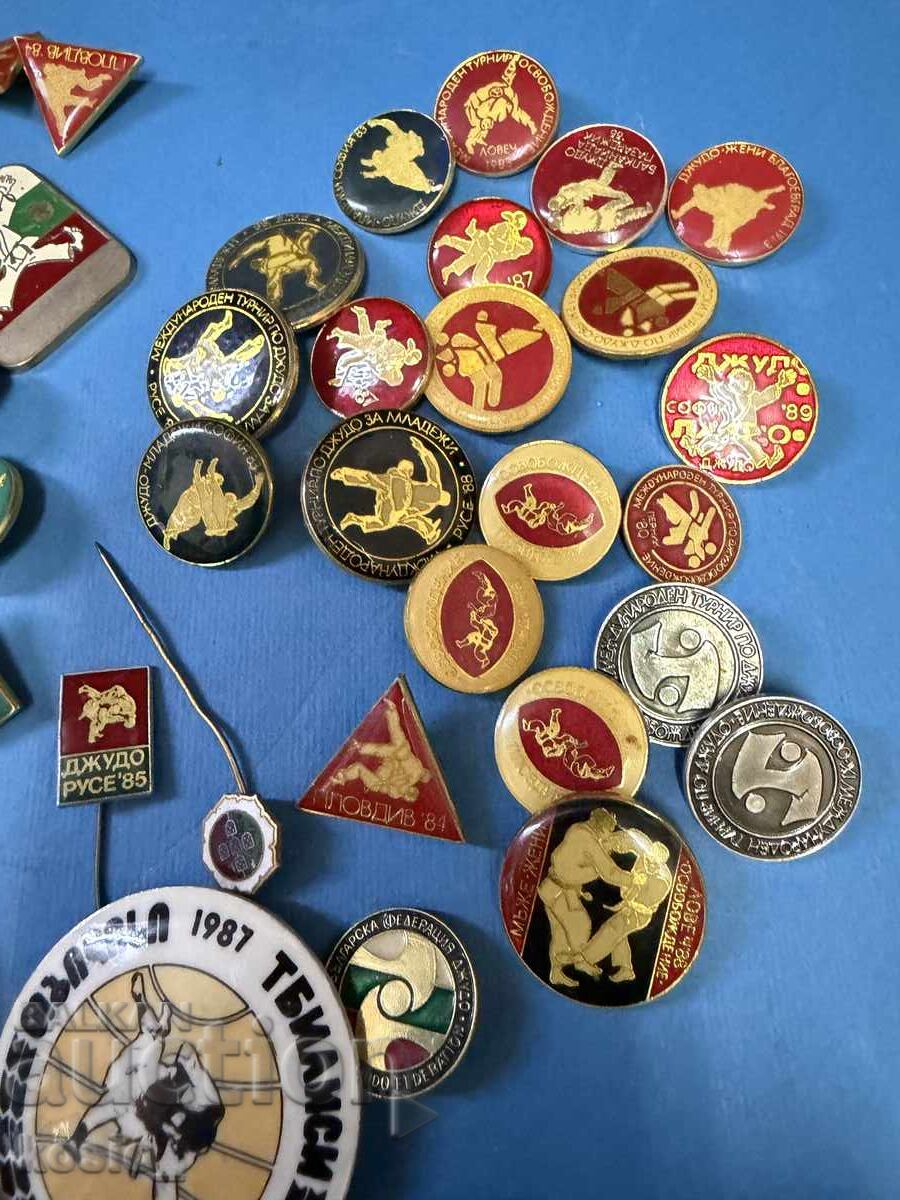 Delivery of Lot of sports badges, Judo only