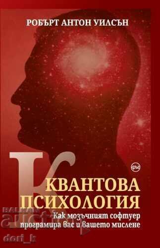 Κβαντική ψυχολογία