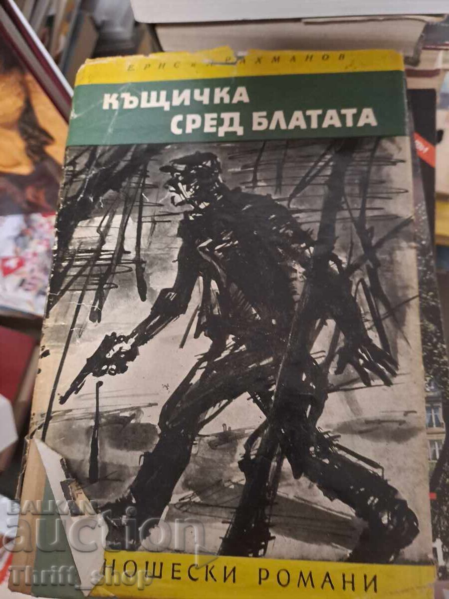 Little House in the Swamps by Evgeny Riss, Leonid Rakhmanov