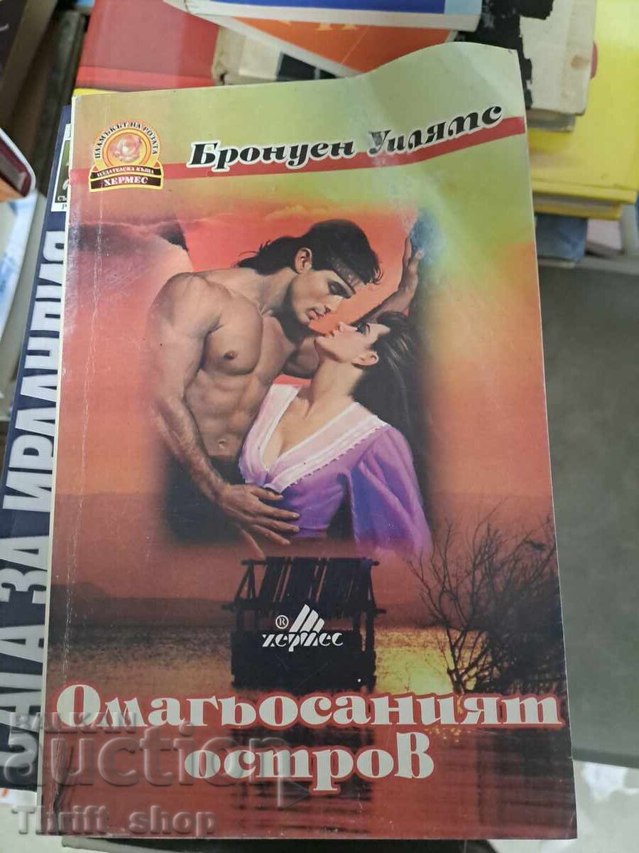 The Enchanted Island by Bronwen Williams