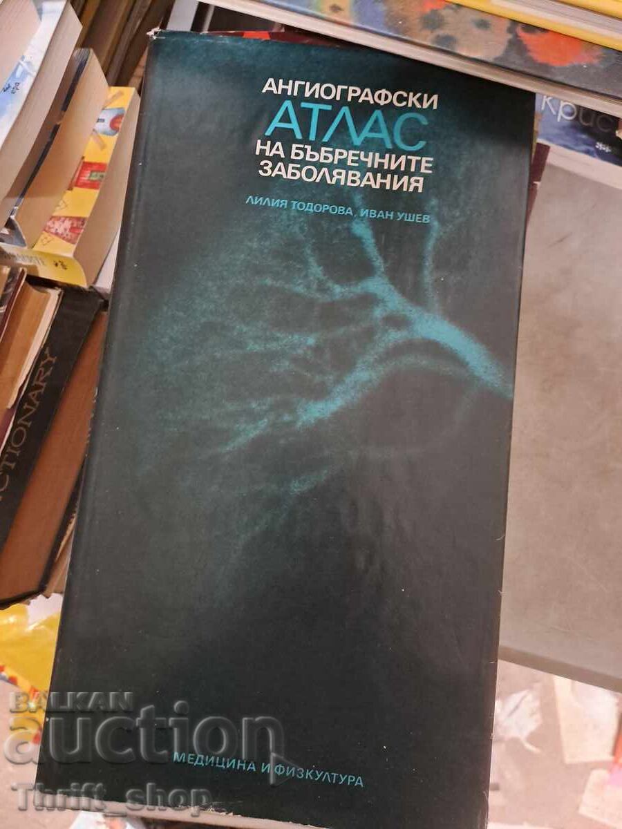 Angiographic Atlas of Kidney Diseases