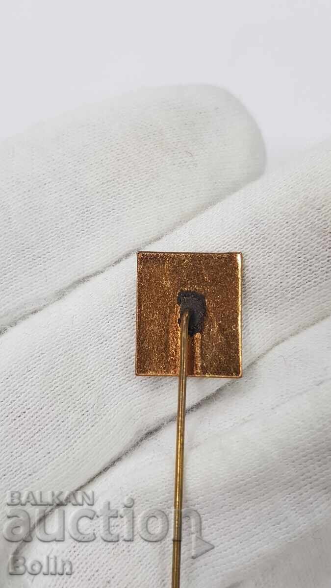 Rare Royal Insignia, Lawyers' Badge, Attorneys at Law - 5