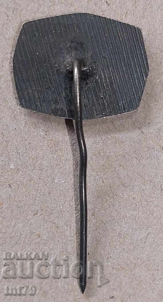 Badge: Regional Historical Museum, Vidin City with price 3.00 BGN | € 1.53