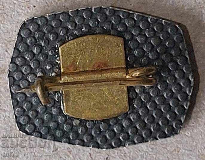 Badge: Vidin Regional Historical Museum (safety pin) with price € 1.60 | 3.13 BGN