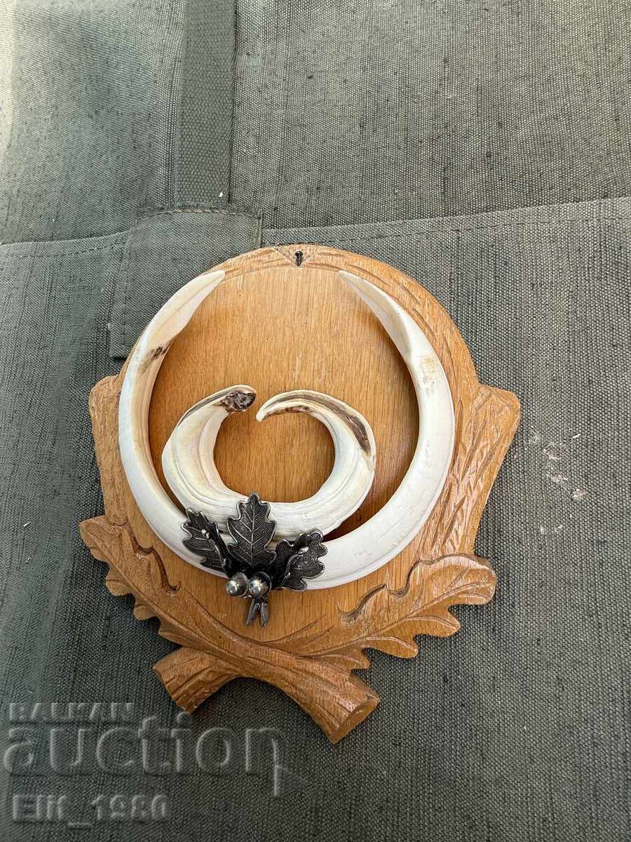 Auction  Hunting Trophy