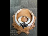 Trofeu de vânătoare