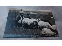 Ταχυδρομική κάρτα Χωρικοί από την Σόφια στον Γρ. Πασκόφ