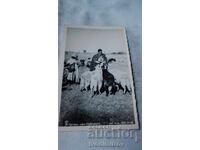 Postcard Shepherd from Sofia Gr. Paskov 1938