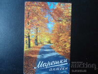 Calendar vechi bulgăresc, 2012