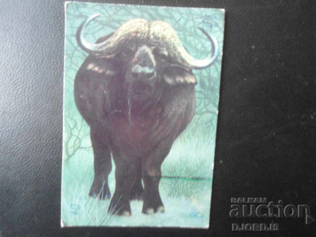 Παλιό βουλγαρικό ημερολόγιο, 1979