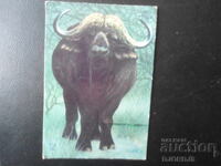 Старо българско календарче, 1979 г.