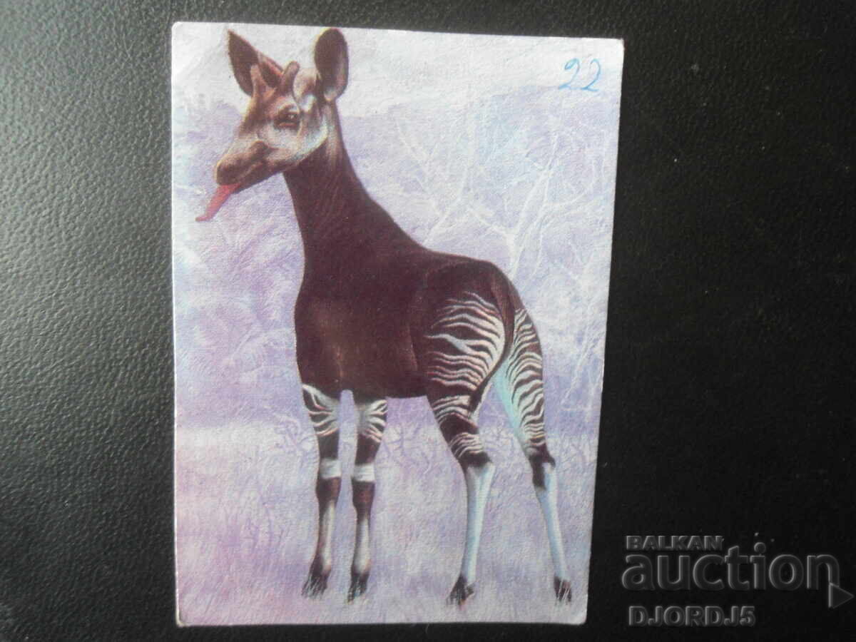 Παλιό βουλγαρικό ημερολόγιο, 1979