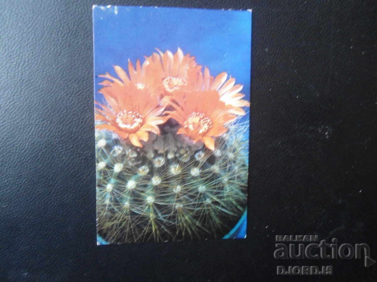 Παλιό βουλγαρικό ημερολόγιο, 1989