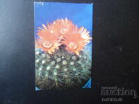 Calendar vechi bulgăresc, 1989