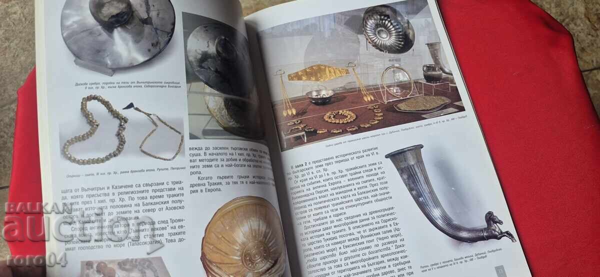 Licitație MUZEUL NAȚIONAL DE ISTORIE - GHID