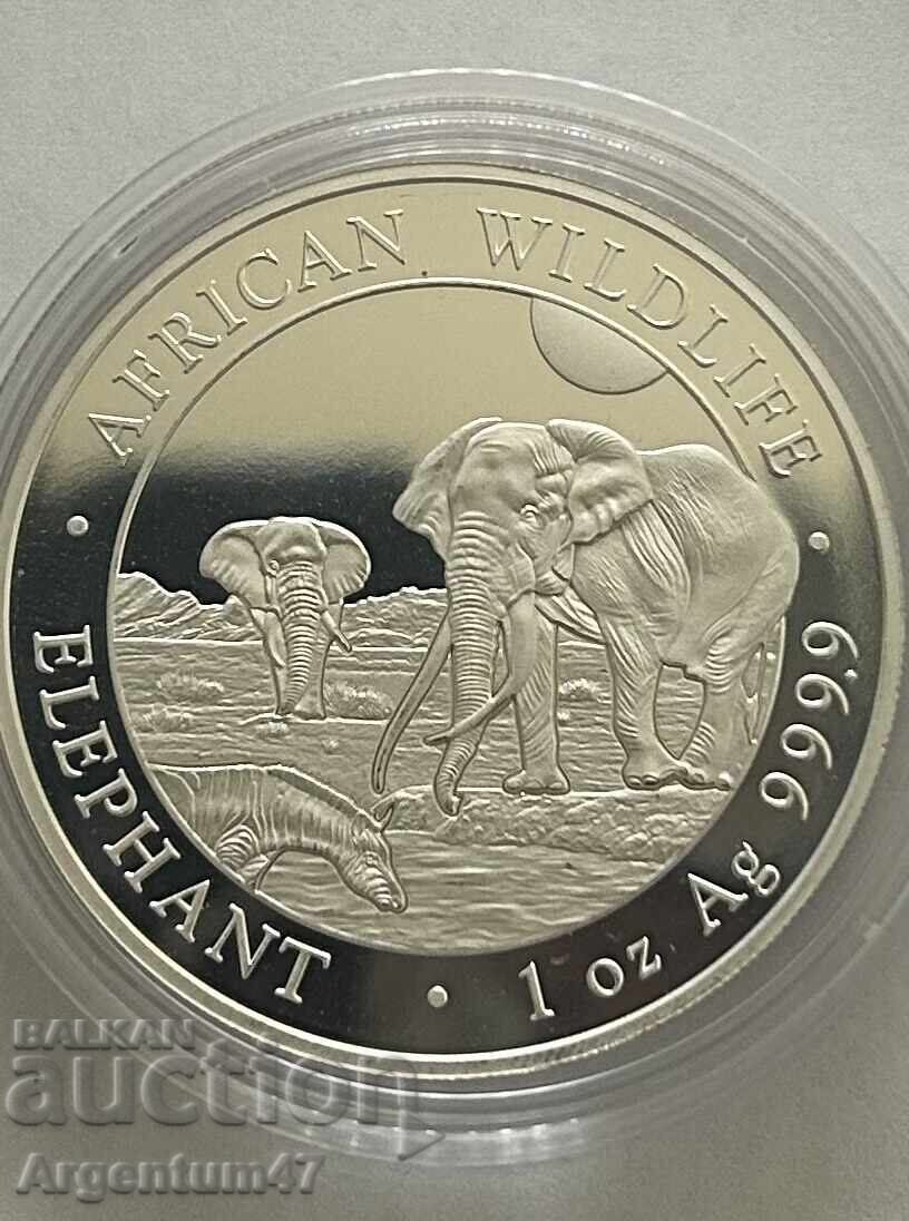 Auction  NEW!!! SILVER 1 OZ 2026 SOMALIA - ELEPHANT