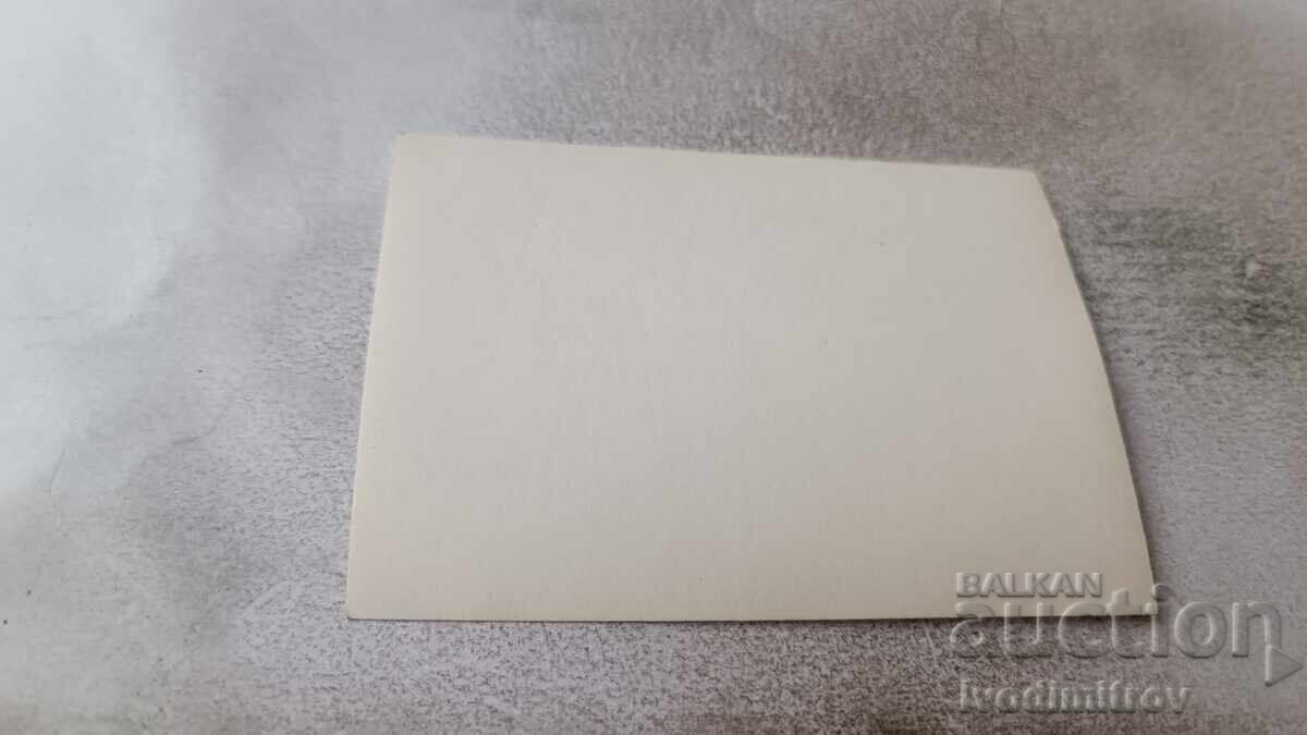 Φωτογραφία Νέο κορίτσι με βάρκα στη θάλασσα με τιμή 1.85 BGN | € 0.95