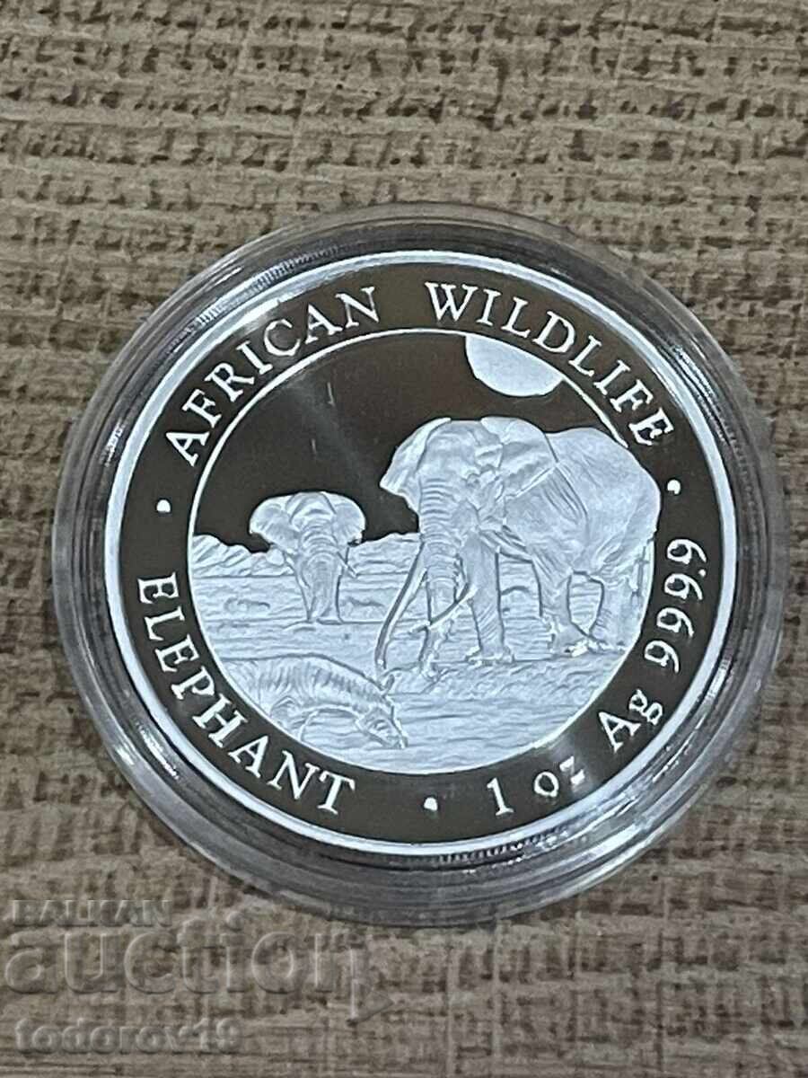 Auction  NEW! Silver 1 oz Somali Elephant 2026