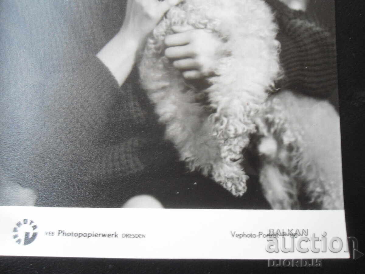 Стара снимка, Дрезден с цена 0.50 лв. | € 0.26 Стара снимка, Дрезден с цена 0.50 лв. | € 0.26