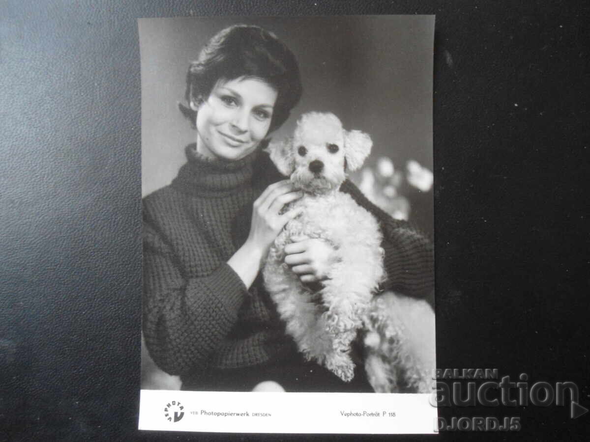 Стара снимка, Дрезден Стара снимка, Дрезден