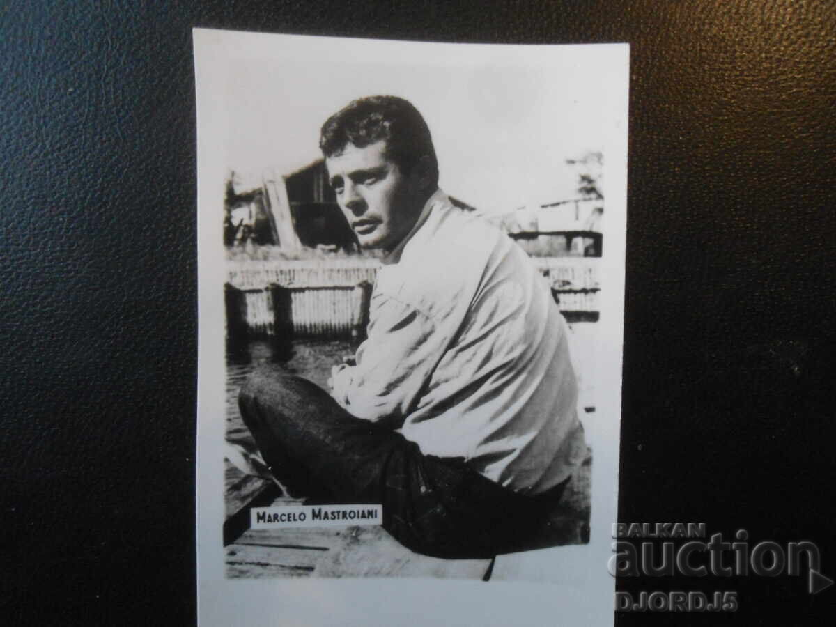 Fotografie veche, MARCELO MASTROIANI, COOPERATIVA "FOTOGRAFIA"