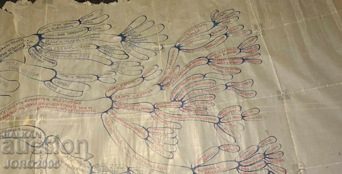 Аукцион Иван Лазаров- 1935г. РОДОСЛОВНО ДЪРВО