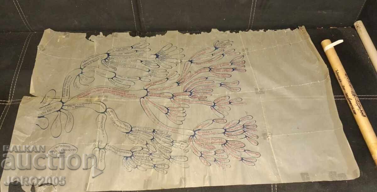 Иван Лазаров- 1935г. РОДОСЛОВНО ДЪРВО