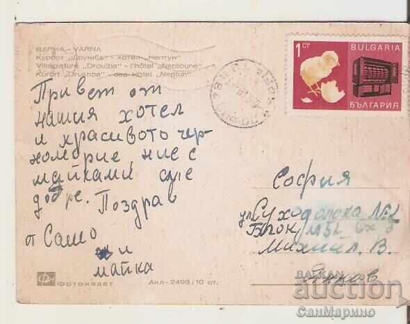 Картичка  България  Варна  Курорт Дружба Хотел "Нептун" 2* с цена 0.80 лв. | € 0.41