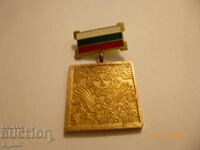 Breast badge - Center for Amateur Art