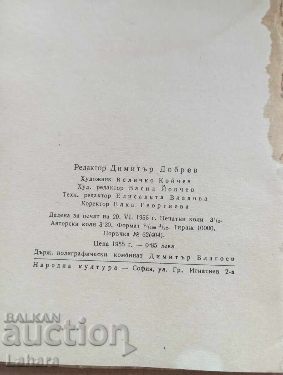 Licitație Palton - Gogol