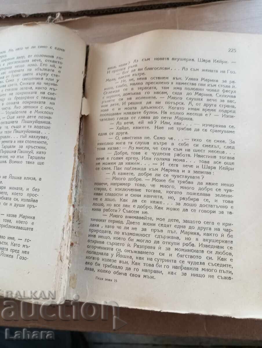 Аукцион Педя земя Паал Сабо Аукцион Педя земя Паал Сабо