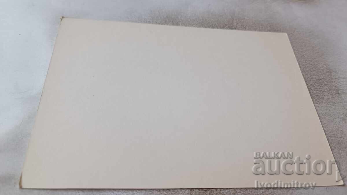 Carte poștală Iavorov cu Gerdjikov și Stamatov 1904 cu preț 0.85 BGN | € 0.43 Carte poștală Iavorov cu Gerdjikov și Stamatov 1904 cu preț 0.85 BGN | € 0.43