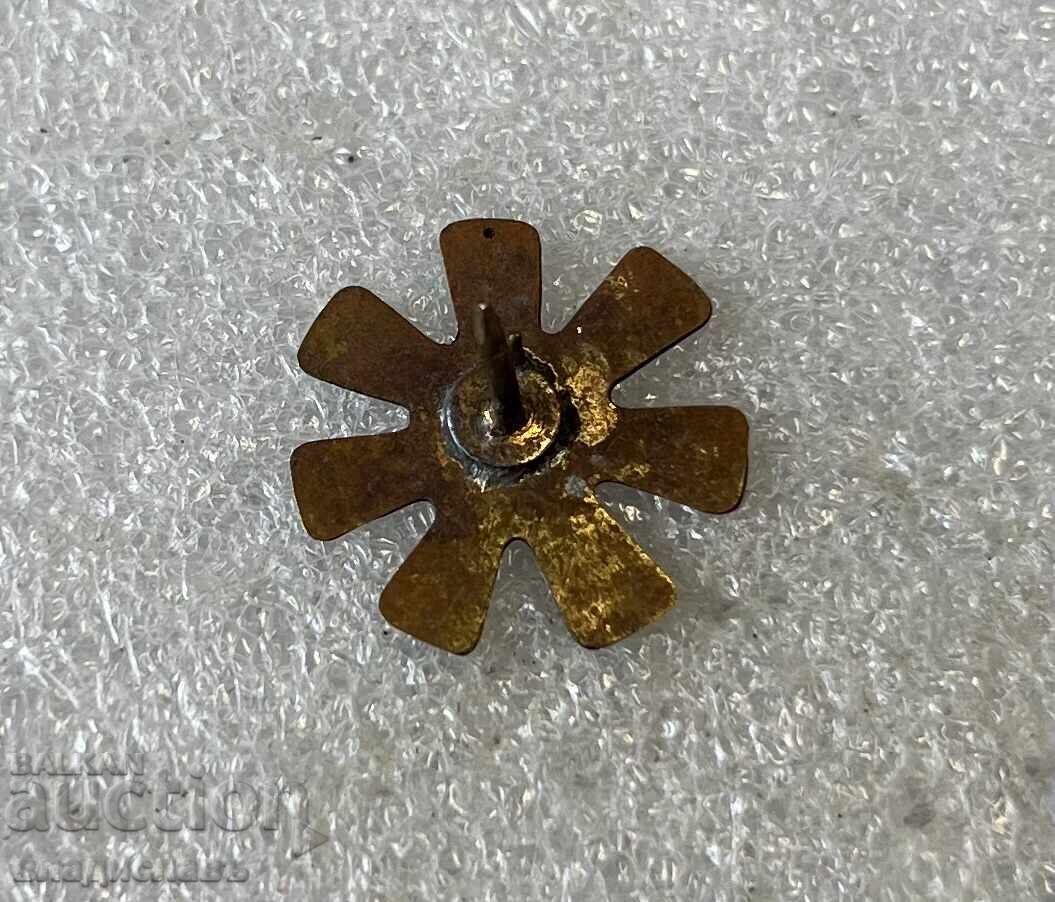 Rozetă de Pliska cu preț 5.00 BGN | € 2.56 Rozetă de Pliska cu preț 5.00 BGN | € 2.56