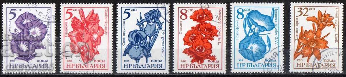 1985. България. Редовни - Градински цветя. 1985. България. Редовни - Градински цветя.