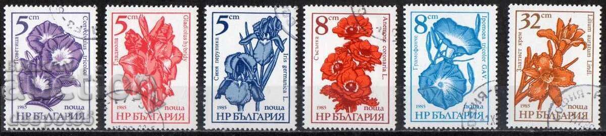 1985. България. Редовни - Градински цветя. 1985. България. Редовни - Градински цветя.