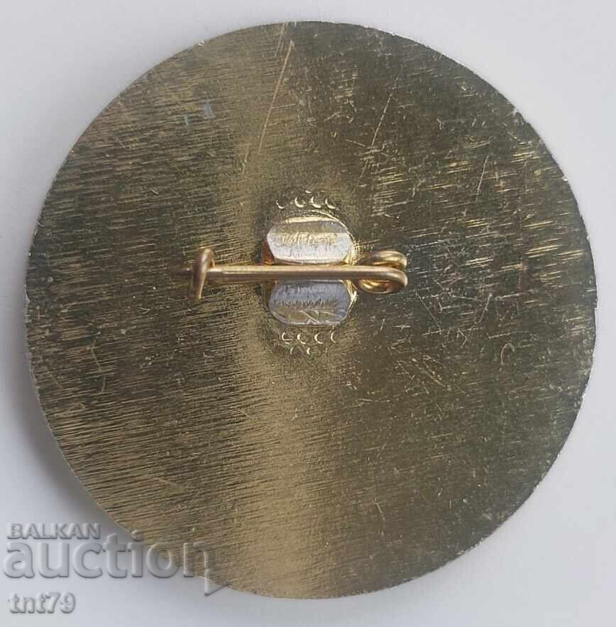 Badge: 100 g. water supply in the city of Sofia with price 3.00 BGN | € 1.53