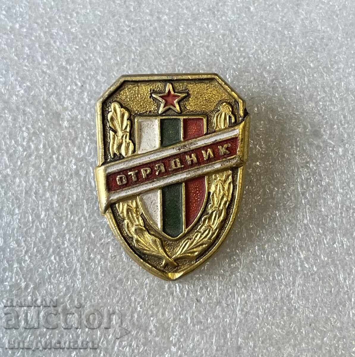 Insigna de Pionier Insigna de Pionier