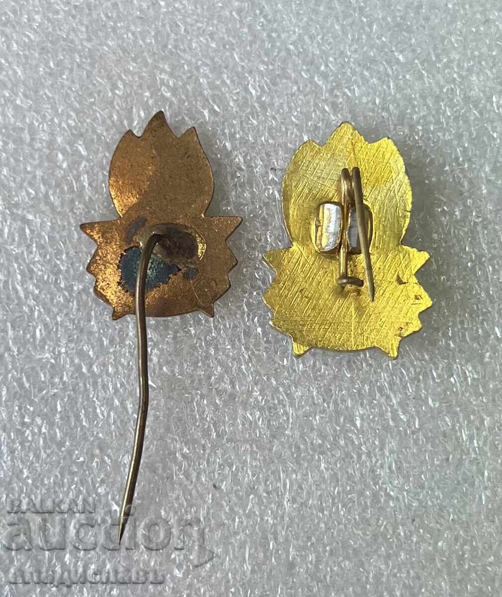 Always Ready with price 4.60 BGN | € 2.35