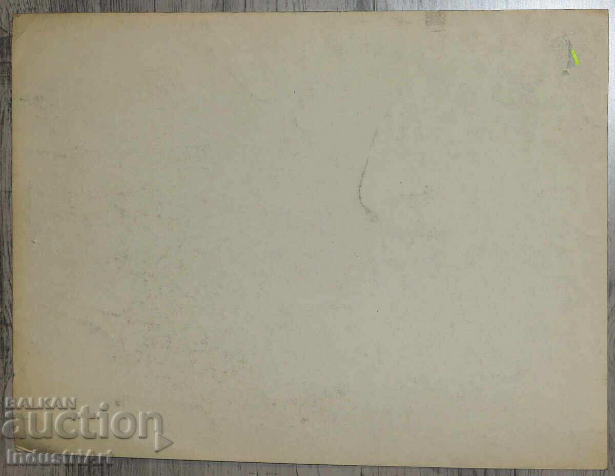 Σχέδιο με μολύβι γυναικείο πορτρέτο - 6