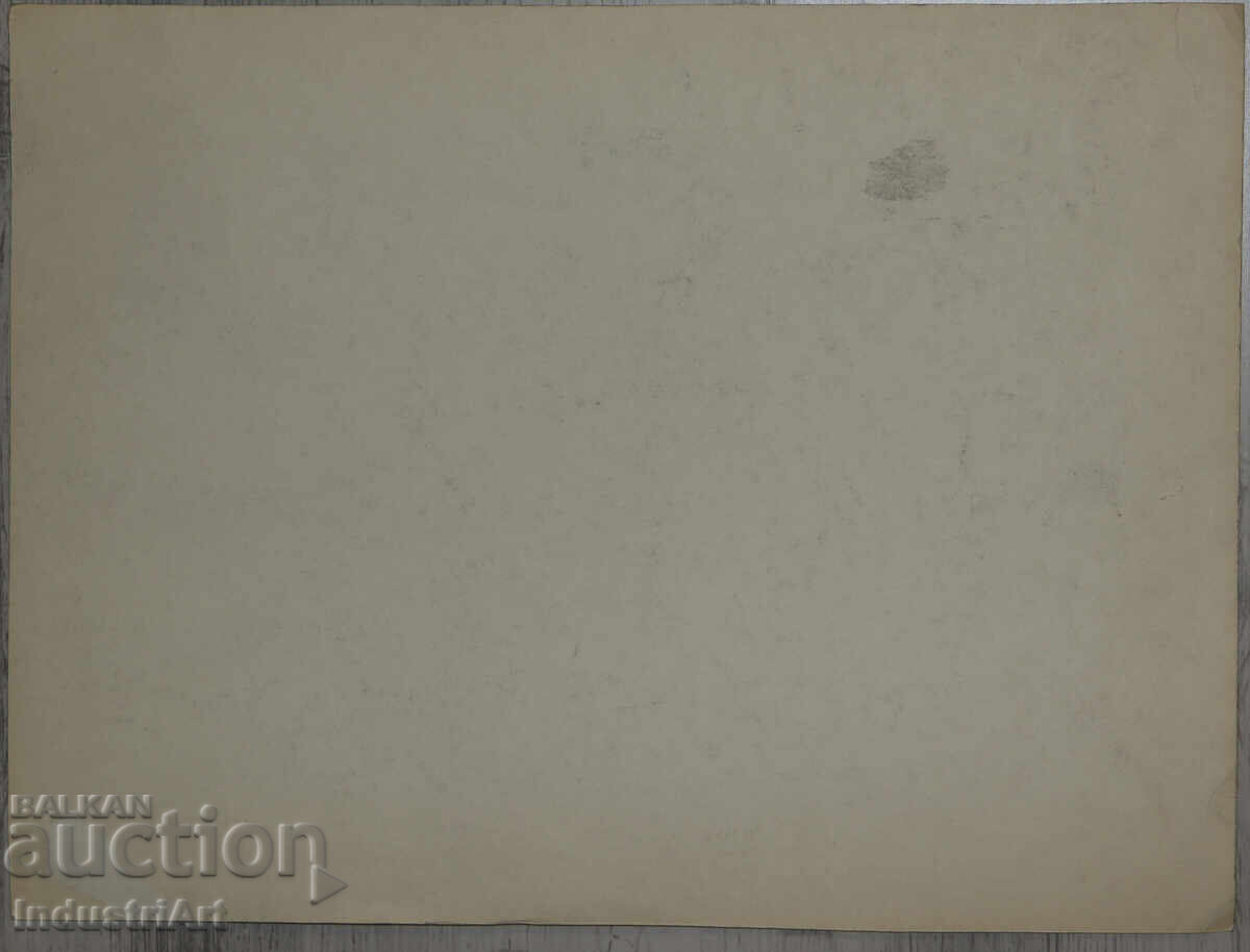 Σχέδιο με μολύβι γυναικείο πορτρέτο - 5