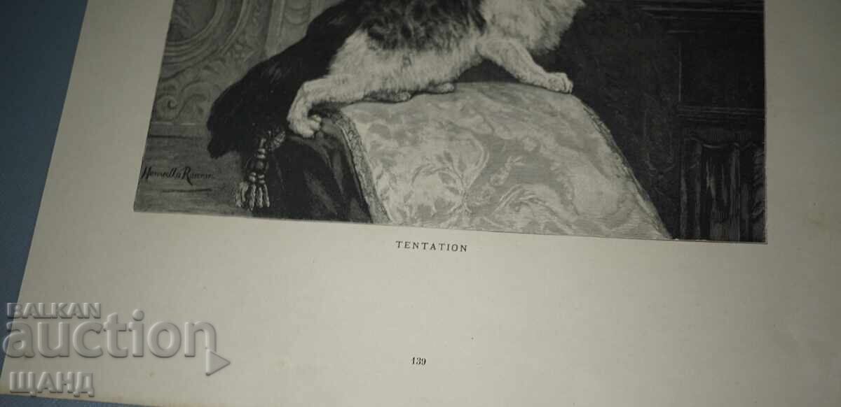 1900 Λιθογραφία με σχέδιο μάστερ γάτα με τιμή 5.35 BGN | € 2.74