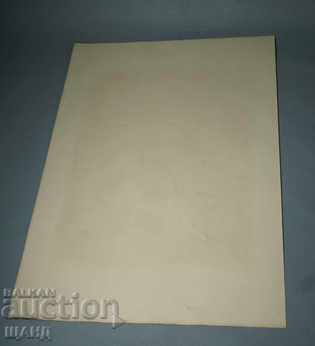 Δημοπρασία 1900 Λιθογραφία με σχέδιο μάστερ γάτα