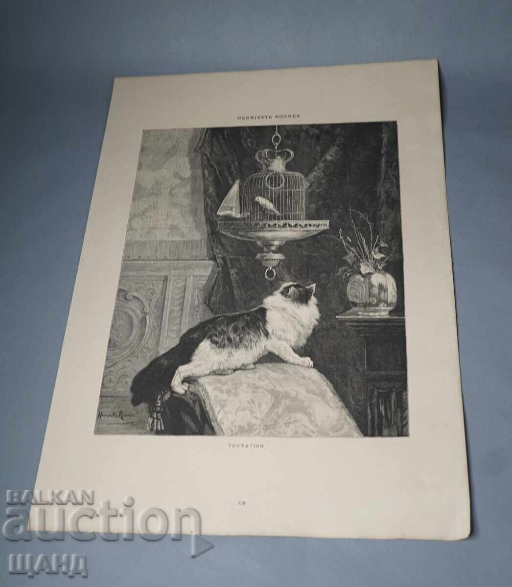 1900 Λιθογραφία με σχέδιο μάστερ γάτα