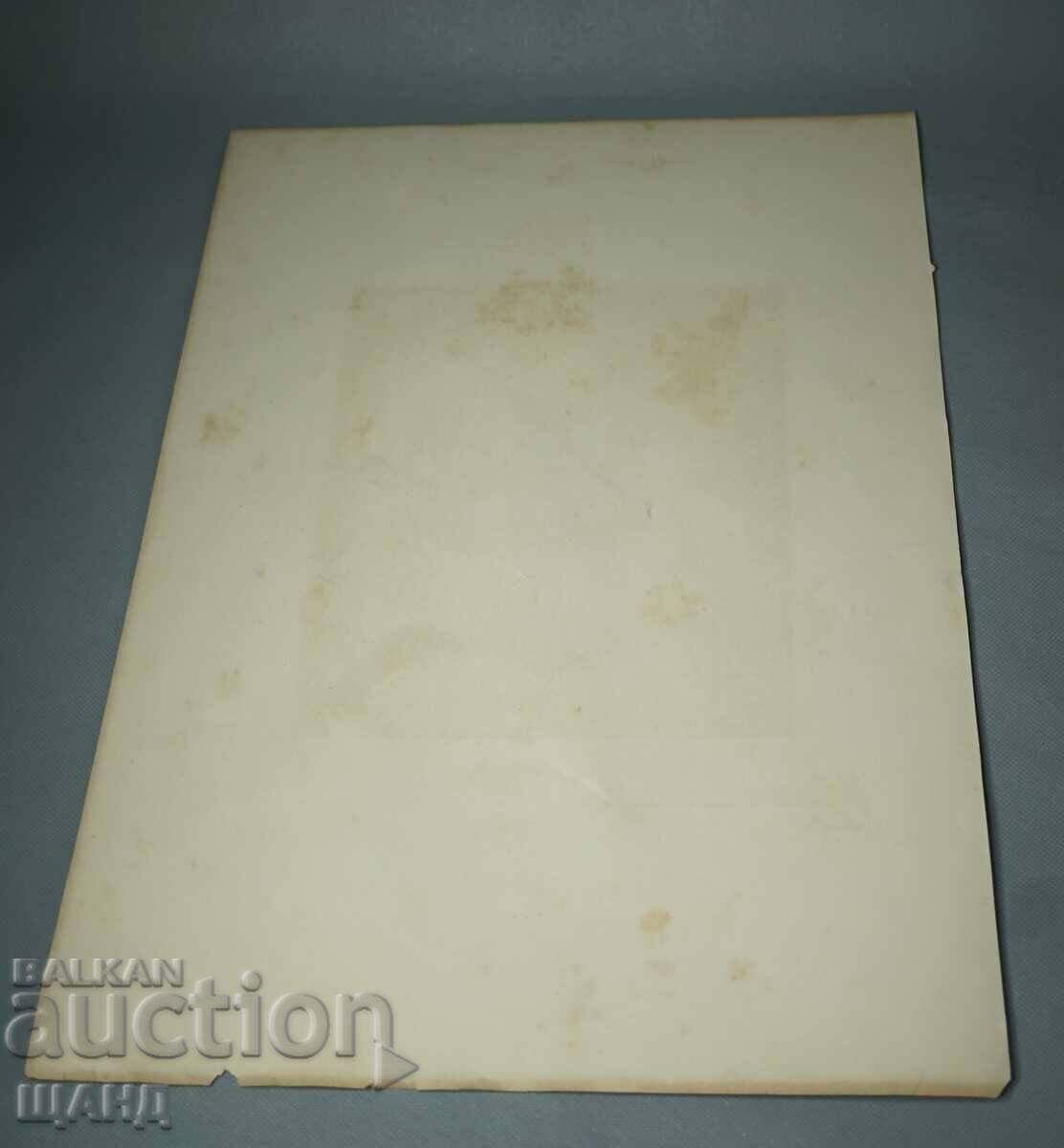 Licitație 1900 Litografie cu desen de maestru pisici